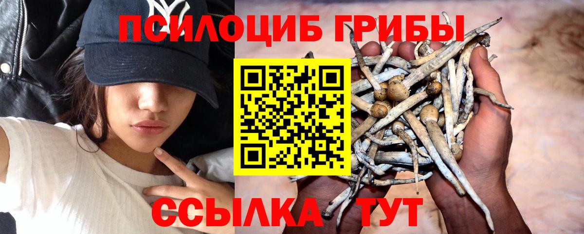 Батайск  Галлюциногенные грибы прущие грибы  Галлюциногенные грибы Psilocybe  Вход с VPN 
